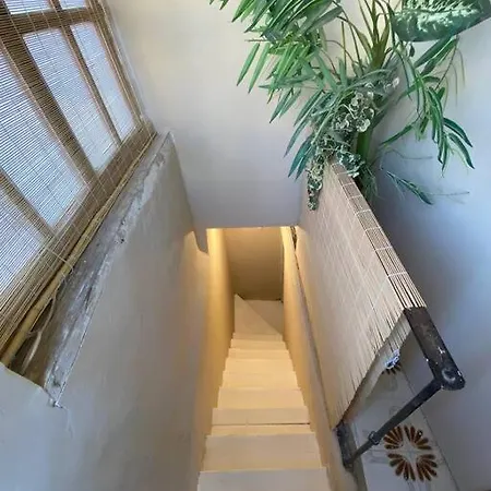 Appartement Azotea Elvira
